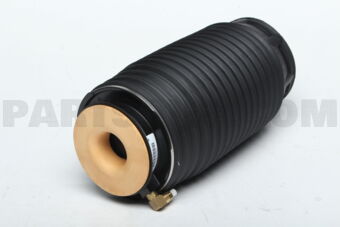 Hyundai / KIA 553603T500 SPRING ASSY-AIR, RR RH