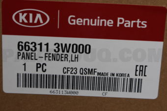 Hyundai / KIA 663113W000 PANELFENDERLH
