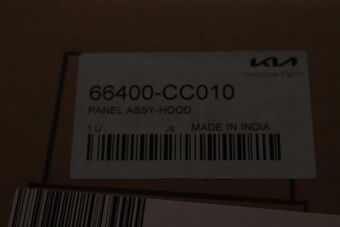 Hyundai / KIA 66400CC010 PANEL ASSY-HOOD
