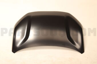 Hyundai / KIA 66400CC010 PANEL ASSY-HOOD