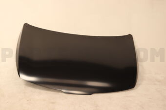 Hyundai / KIA 66400R2000 PANEL ASSY-HOOD