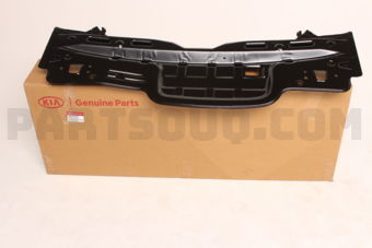 Hyundai / KIA 69100H9200 PANELASSY-BACK