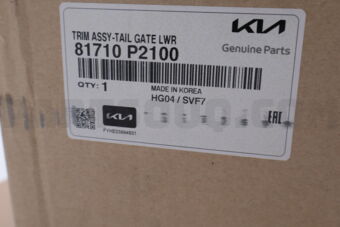 Hyundai / KIA 81710P2100 TRIM ASSY-TAIL GATE LWR