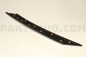Hyundai / KIA 86250R0000 GARNISH ASSY-FRT,LH