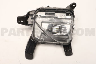 Hyundai / KIA 92202IX000 LAMPASSY-FRFOGRH