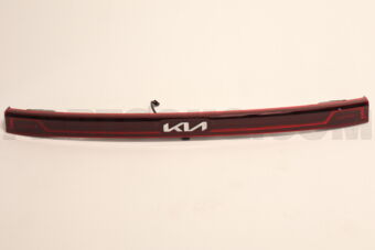 Hyundai / KIA 92409R0310 LAMPASSY-CENTERGAR