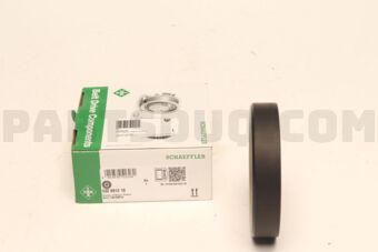 INA 532091210 PULLEY/WATER PUMP/F20/F30/F31
