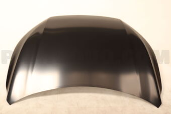 Mitsubishi 65100W000P HOOD
