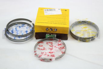 NPR SDT10124STD PISTON RING STD