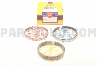 NPR SDT10124ZYSTD PISTON RING