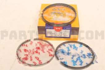 NPR SDT10193ZY0025 RING PISTON SET 025 2TR