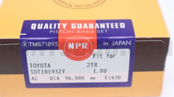 NPR SDT10193ZY100 PISTON RING SET