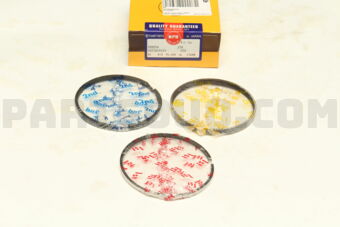NPR SDT10193ZYSTD PISTON RING