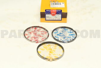 NPR SDT10193ZYSTD PISTON RING