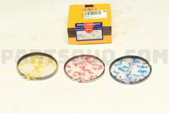 NPR SDT10193ZYSTD PISTON RING