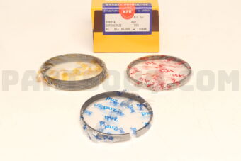 NPR SDT10225ZZSTD RING PISTON STD 4GR