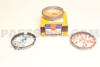NPR SJT10070ZZSTD PISTON RING SET