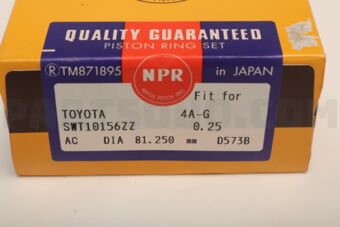 NPR SWT10156025 PISTON RING 025 SET