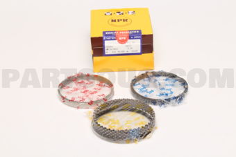 NPR SWT10178ZZ050 PISTON RING SET
