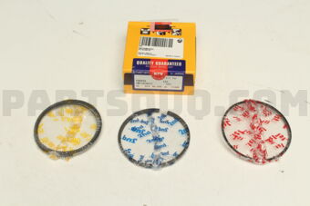 NPR SWT10186ZZSTD PISTON RING SET