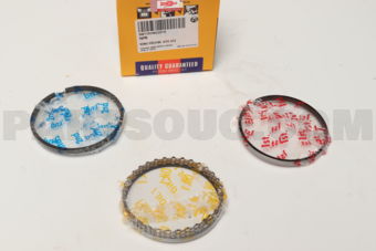 NPR SWT10196ZZSTD RING PISTON STD 2ZZ