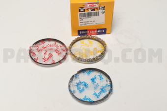 NPR SWT10196ZZSTD RING PISTON STD 2ZZ
