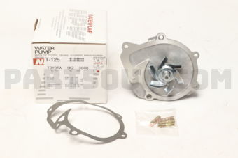 NPW T125 WATER PUMP