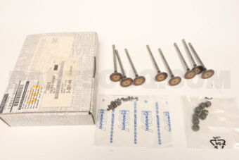Nissan 1320100Q0F VALVE KIT-INTAK