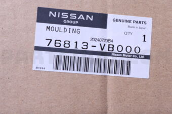Nissan 76813VB000 MOULDING-DRIP,LH