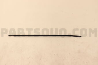 Nissan 808206TA0A MLDG ASSY-FR DO