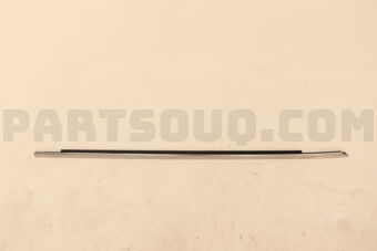 Nissan 808206TA0A MLDG ASSY-FR DO