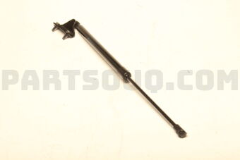 Nissan 904513DA0B BACK DOOR STAY