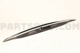 Nissan 908169NP2A FINISHER ASSY-B