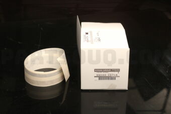 Nissan 99044VS71A STRIPE-ACCENT,FRONT DOOR RH