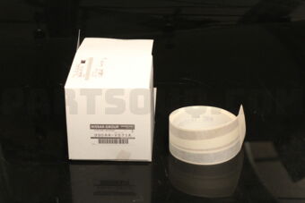 Nissan 99044VS71A STRIPE-ACCENT,FRONT DOOR RH