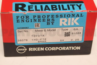 RIKEN 28079025 PISTON RING
