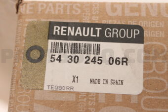 Renault 543024506R ABS-SHOCK, FR
