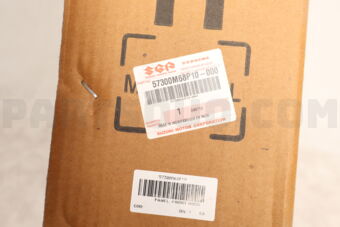 Suzuki 57300M68P10 PANEL,FRONT HOOD A1K310/412