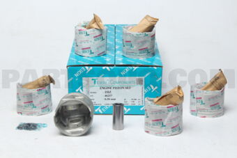 TEIKIN 462570050 PISTON SET 050 1HZ (SET OF 1)