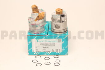 TEIKIN 46389AGSTD PISTON SET STD 2LT NEW (SET OF 1)