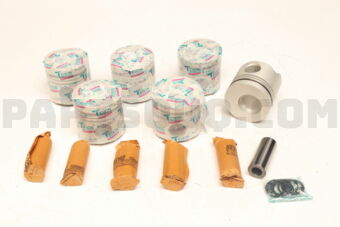 TEIKIN 46624A0050 PISTON SET 050 12H T ALFIN (SET OF 1)