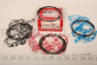 TP 359122FAC025 PISTON RING