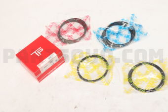 TP 359413FAC100 PISTON RING