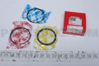 TP 359673F025 PISTON RING