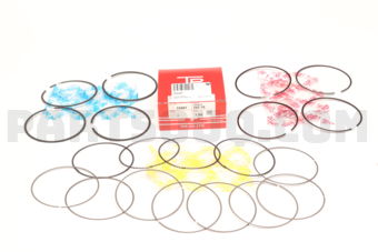 TP 359673F100 PISTON RING