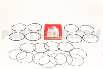 TP 359673F100 PISTON RING