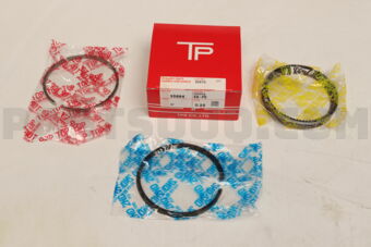 TP 359843F025 PISTON RING