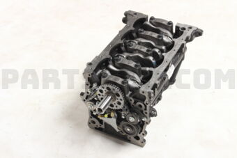 Toyota 1140075381 BLOCK ASSY, SHORT