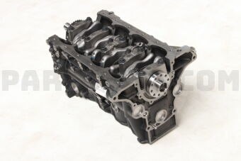 Toyota 1140075381 BLOCK ASSY, SHORT
