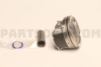 Toyota 1310170160 PISTON SUB-ASSY